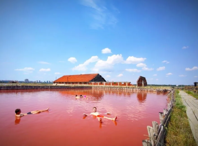TOUR TO THE MUD BATHS 3